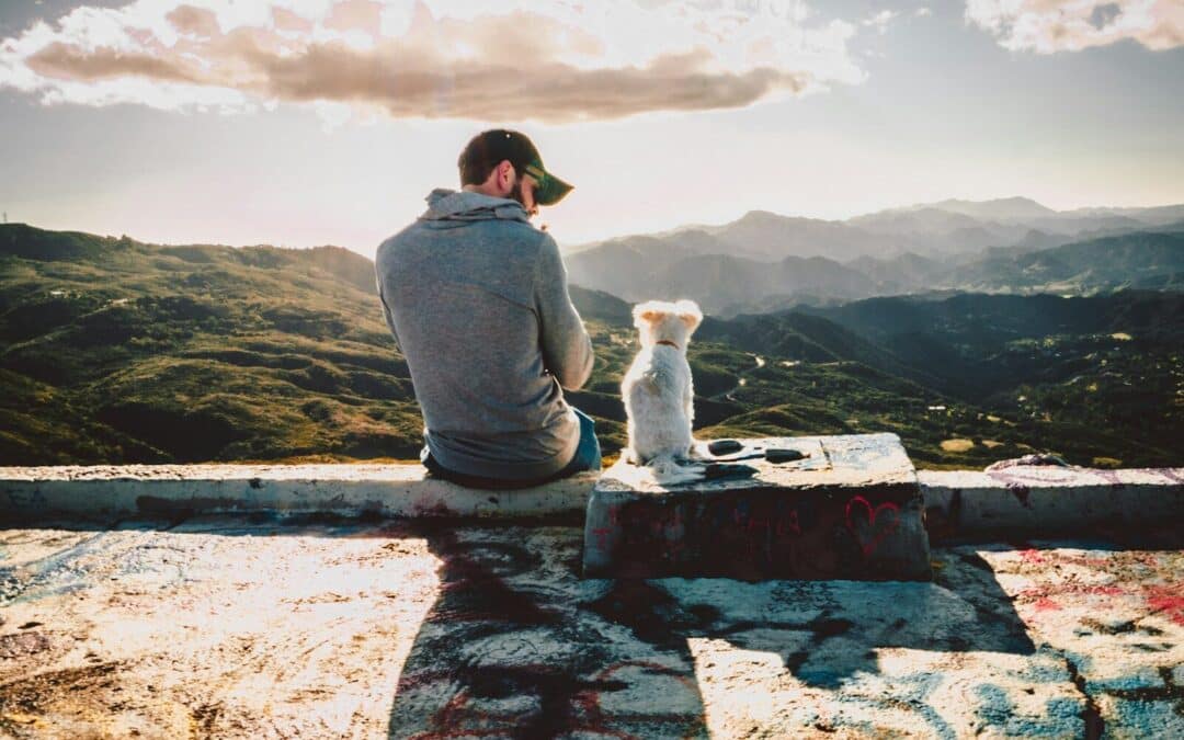 15 Signs Your Dog Loves You (More Than You Know)