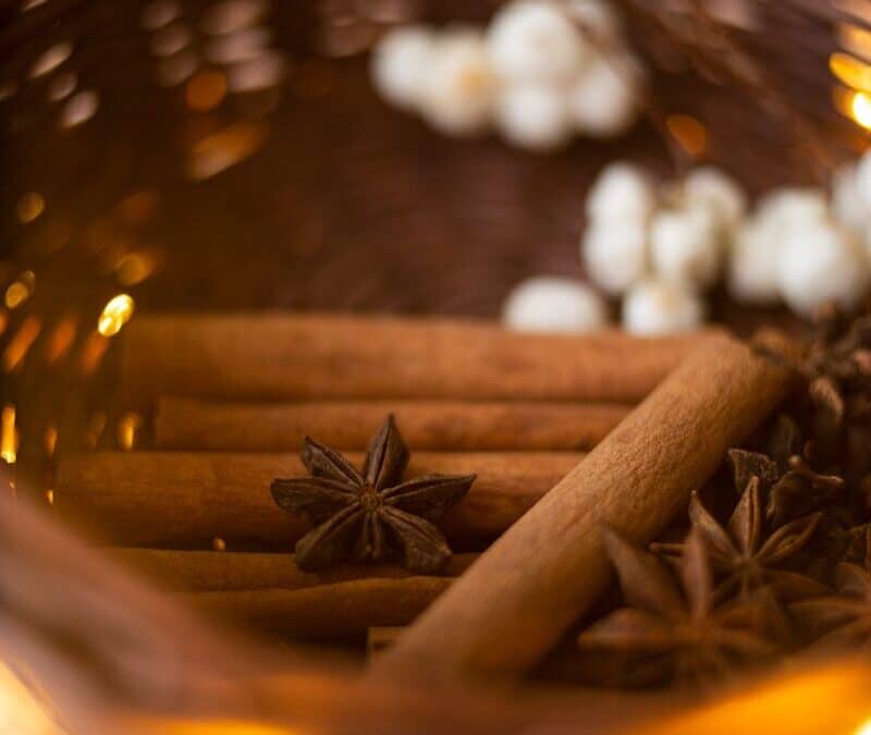 Can Dogs Have Cinnamon? Important Facts Every Dog Owner Should Know