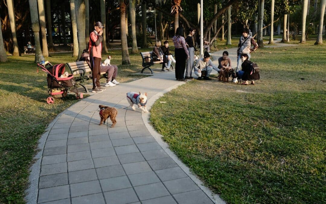 The Best Dog Parks in the DC Area for Your Furry Friend