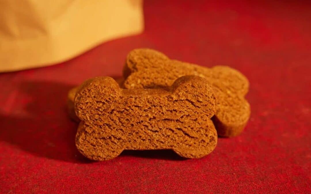 Best Dog Treats for Training: Why Structure and Training Matter for Dogs in Alexandria and Arlington