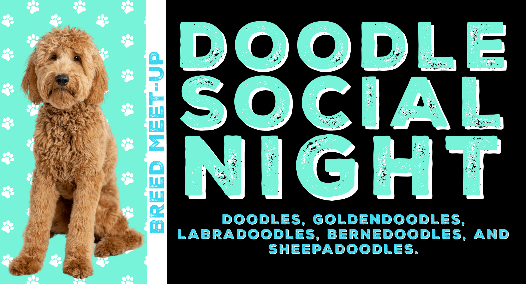 doodle social night