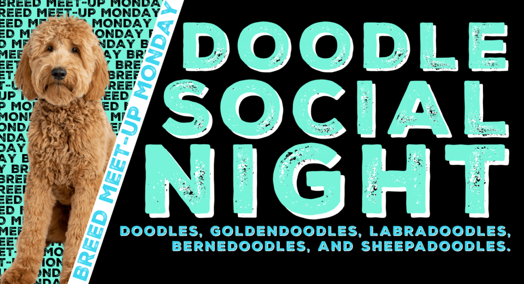 Doodle Social Night