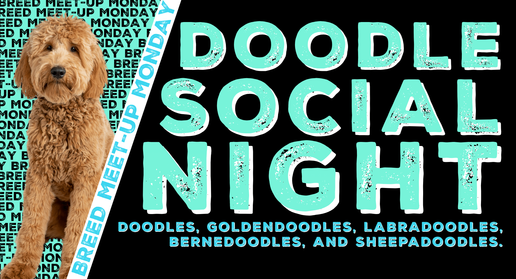 Doodle Social Night