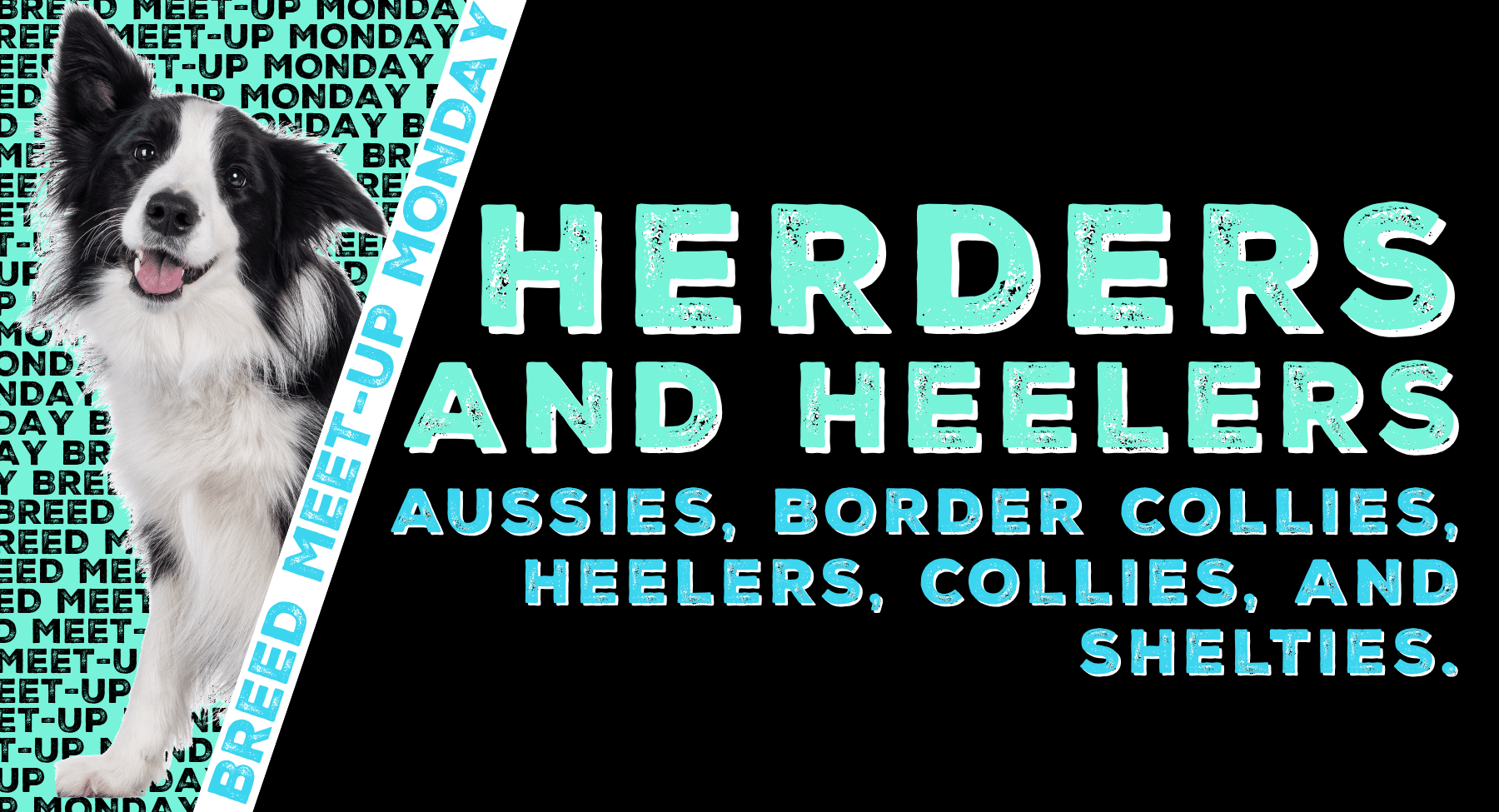 Herders & Heelers