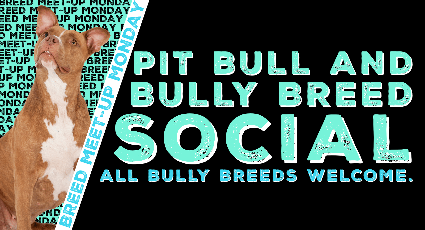 Pit Bull and Bully Breed Social