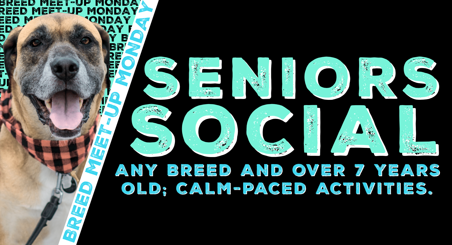 Seniors Social