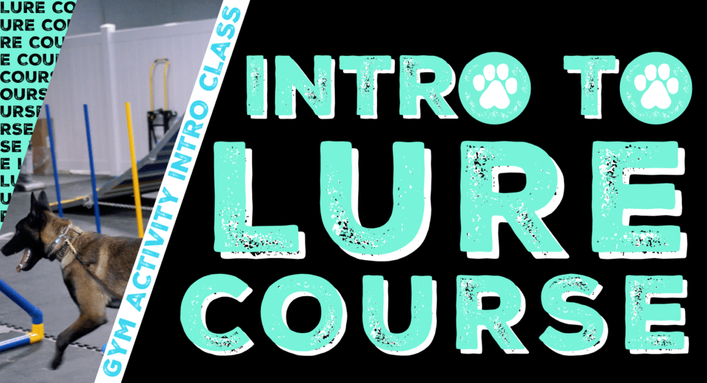 Gym Activity Introduction Class: Intro to Lure Course