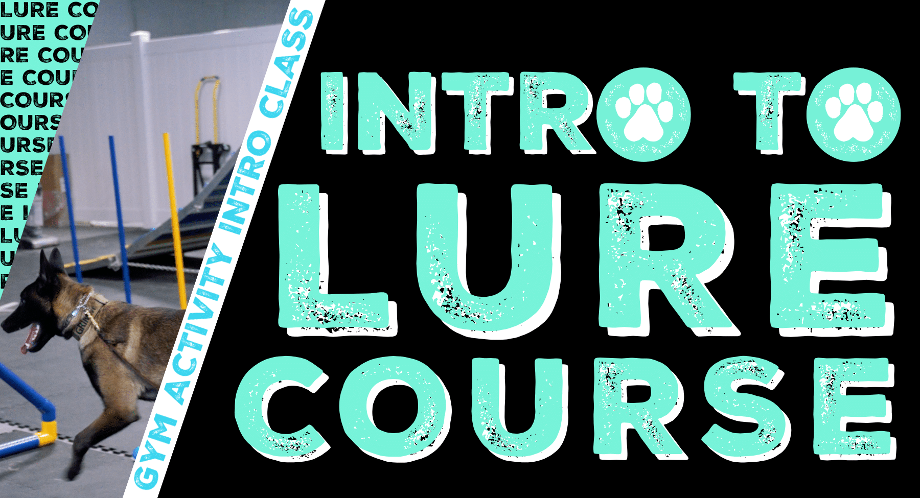 Gym Activity Introduction Class: Intro to Lure Course