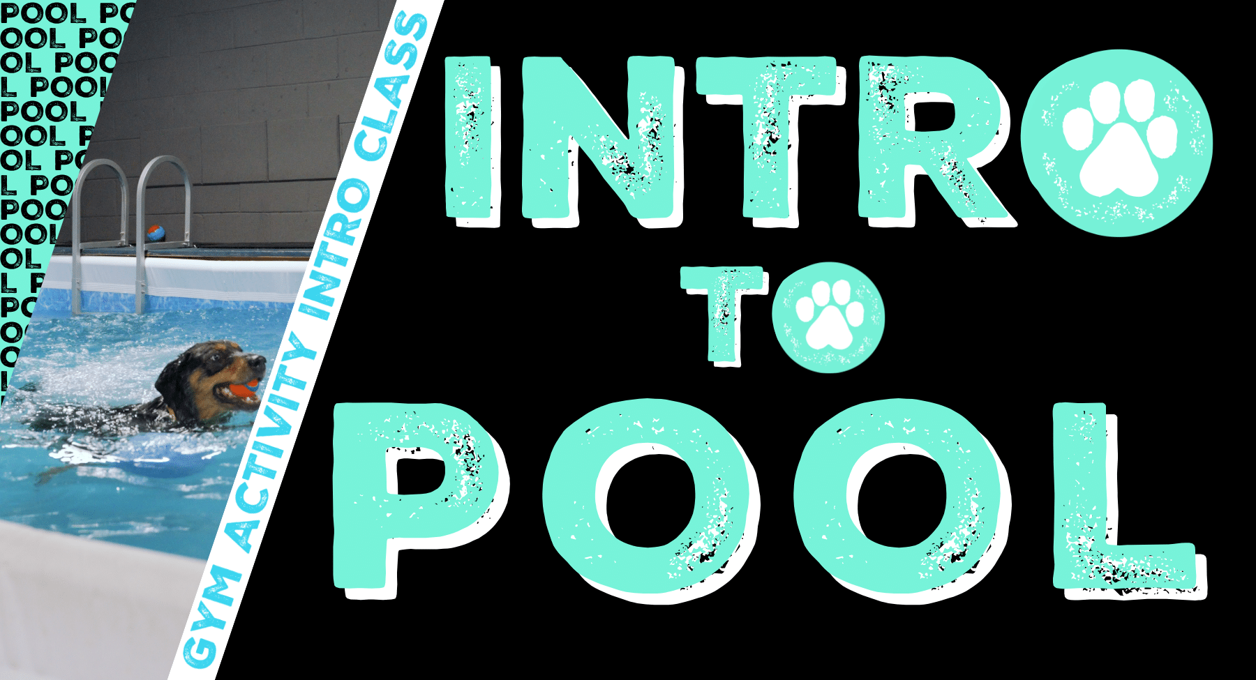 Gym Activity Introduction Class: Intro to Pool