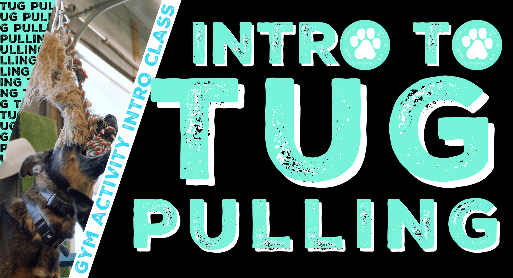 Gym Activity Introduction Class: Intro to Tug Pulling
