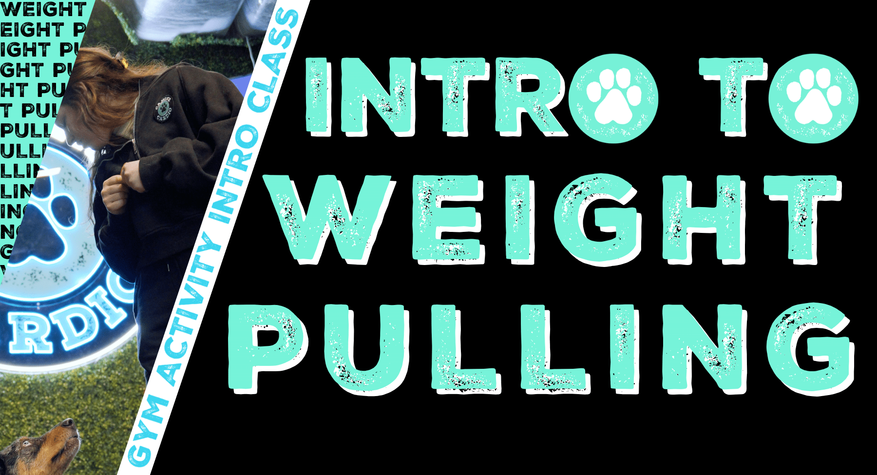 Gym Activity Introduction Class: Intro to Weight Pulling