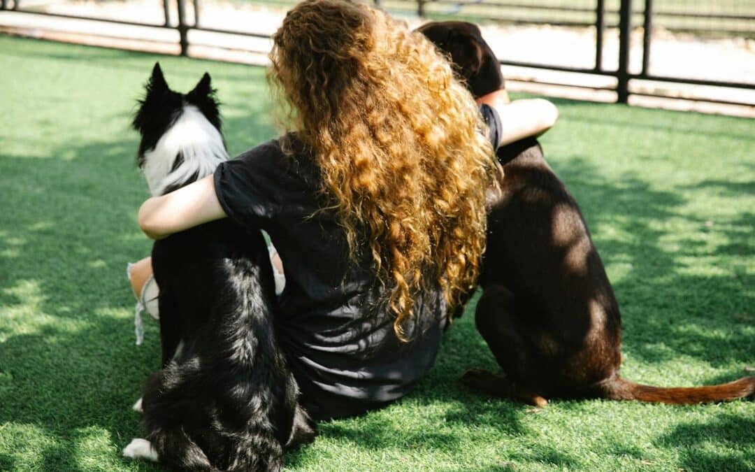 Choosing a Dog Boarding Facility in Alexandria, Virginia That Feels Safe and Thoughtful