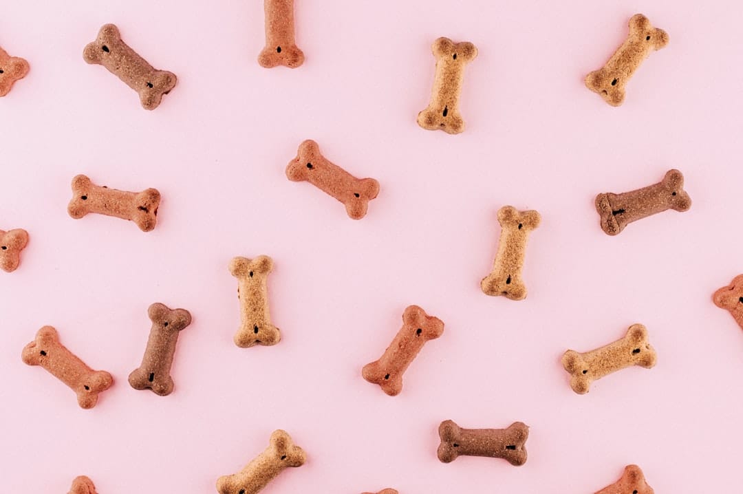 Soft Dog Treats Great for Puppies, Seniors, and Repetitive Training